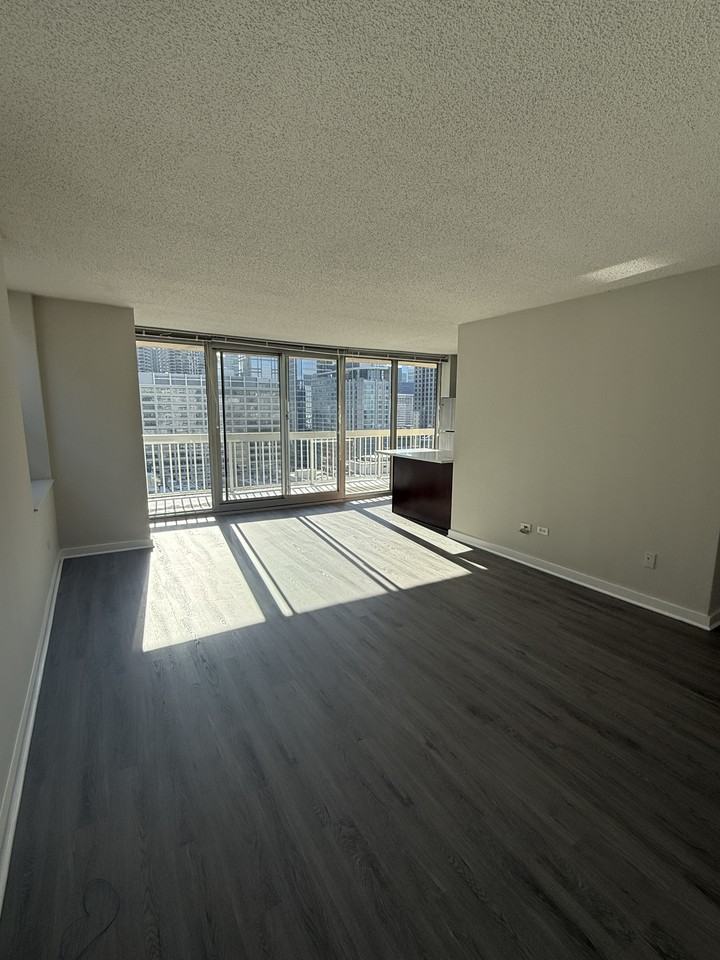 509 N Dearborn St #2001 - Photo 4 of 21