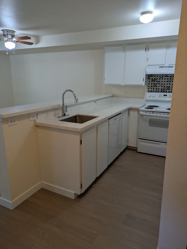 29 Etruria St #1 - Photo 3 of 19