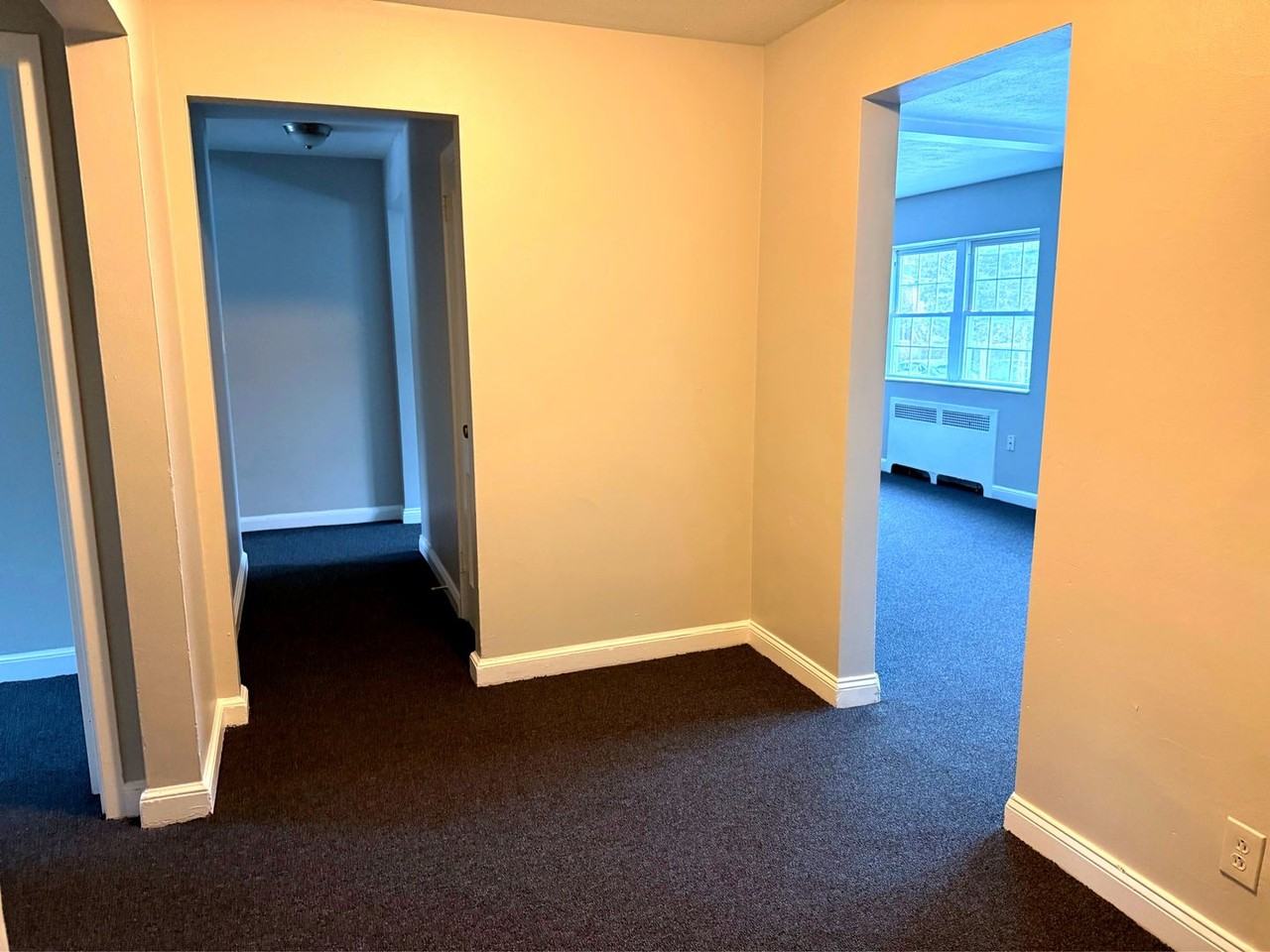 35-41 Niles Street - Photo 3 of 13