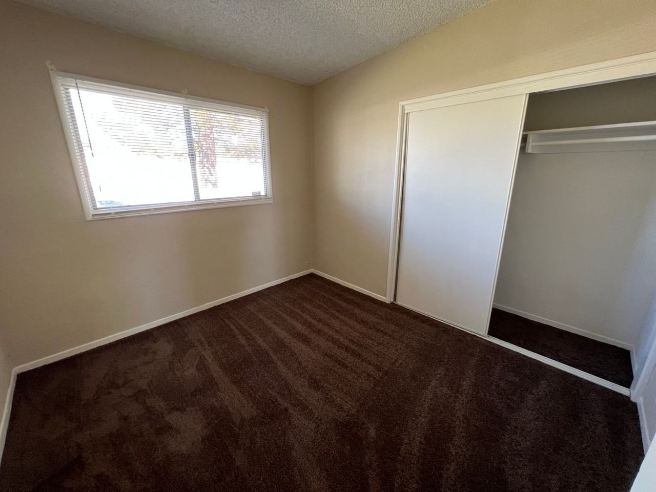 312 Sahara Dr - Photo 6 of 9