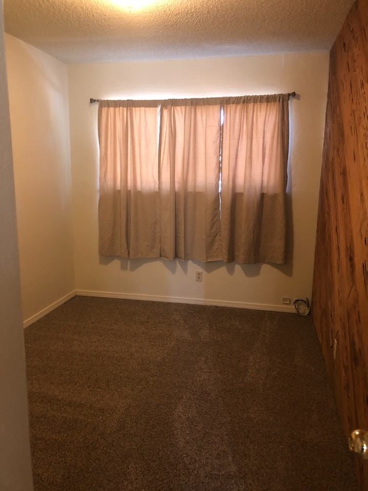 925 Hasvold Dr - Photo 4 of 22