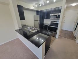 featured image of 25 Element Drive North #212