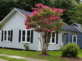 featured image of 526 Evangeline Dr