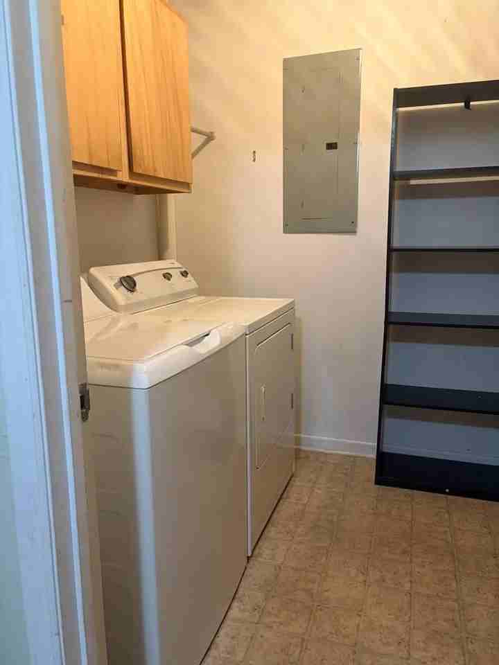 46 Tallent St Apt 4 - Photo 6 of 12