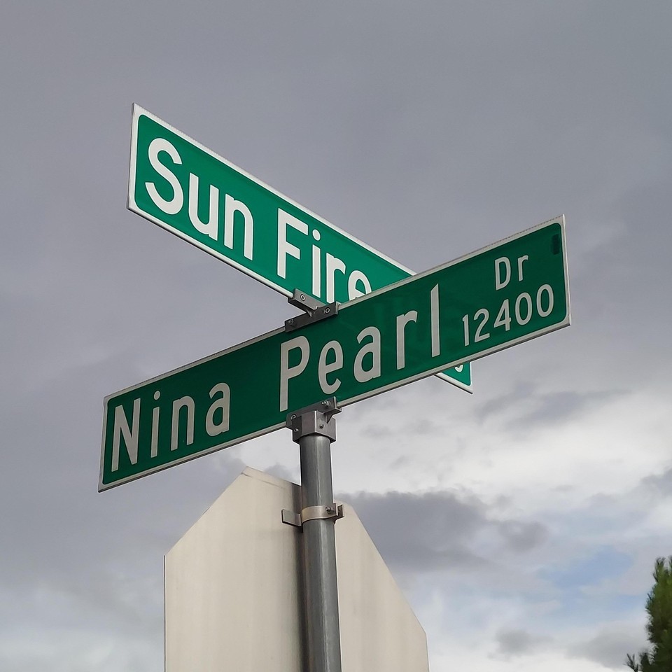 12409 Nina Pearl Dr - Photo 5 of 37