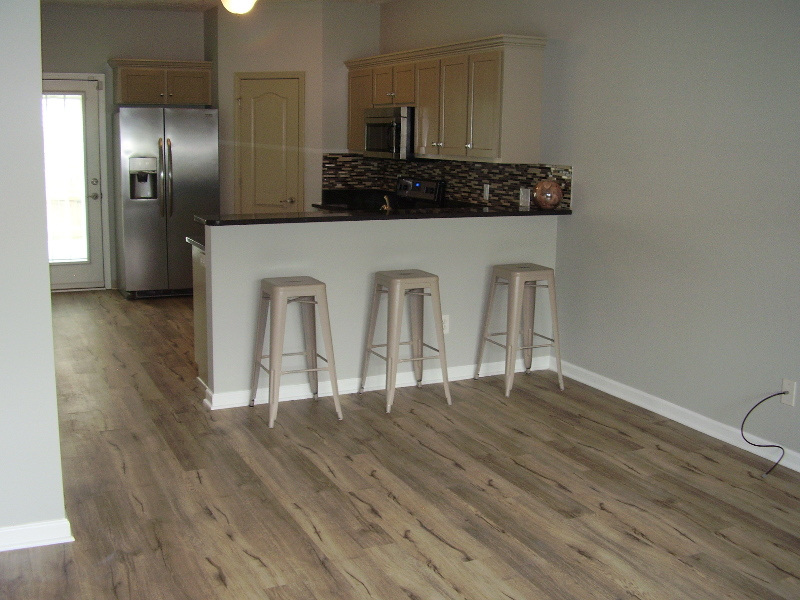 2528 New Holland Cir - Photo 4 of 13