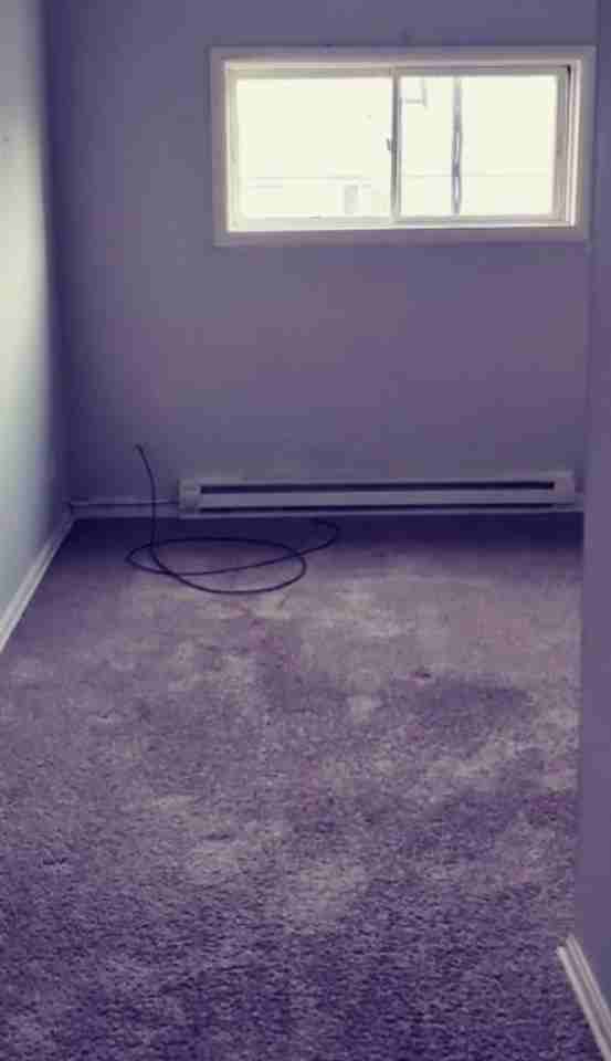 51 S Salem Warren Rd #3 - Photo 5 of 7
