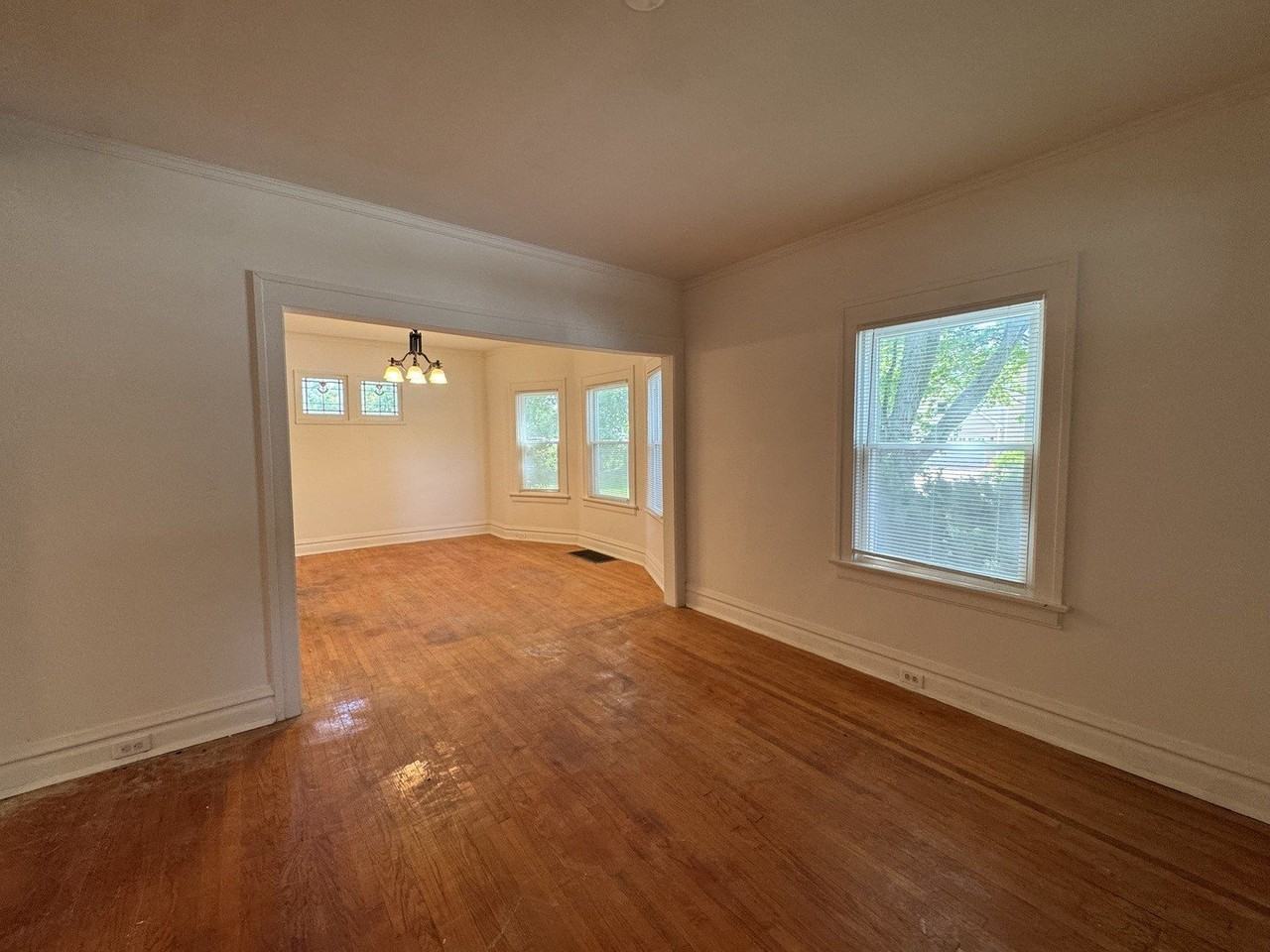 519 S Hale St - Photo 6 of 15