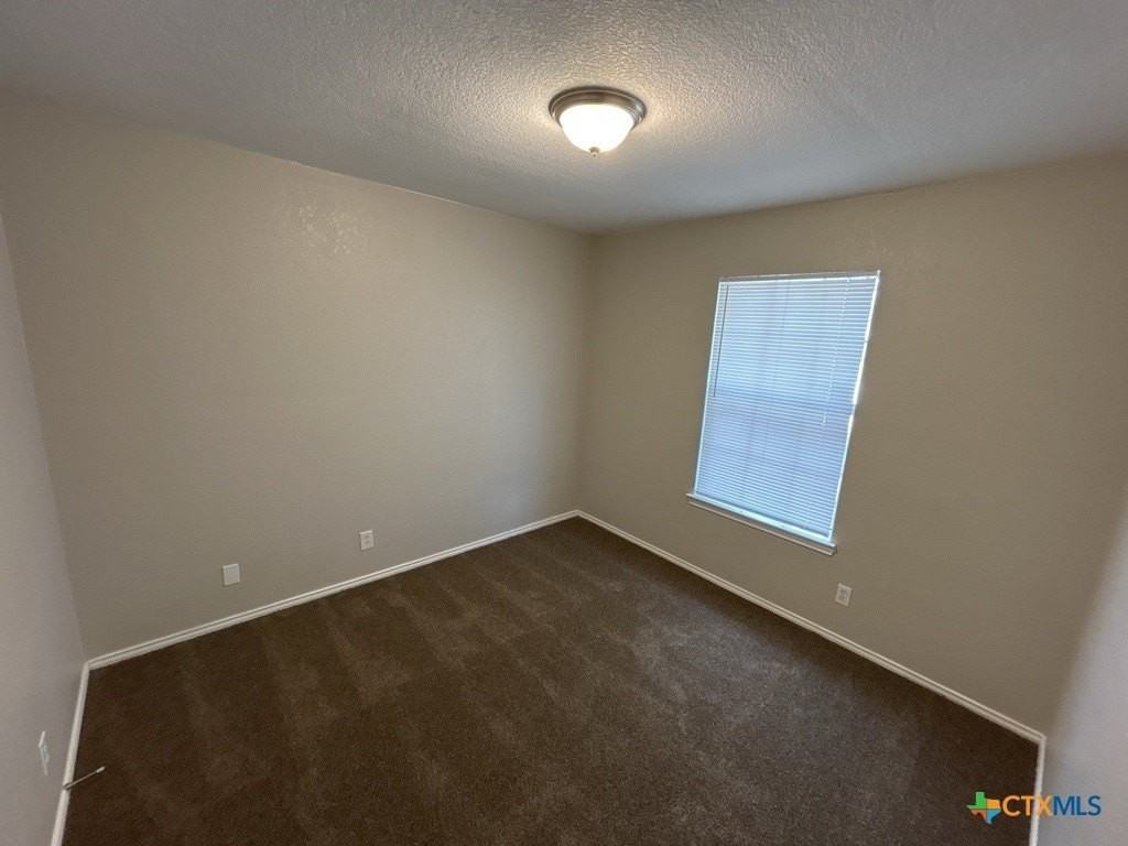 4507 Lonesome Dove Dr - Photo 3 of 28