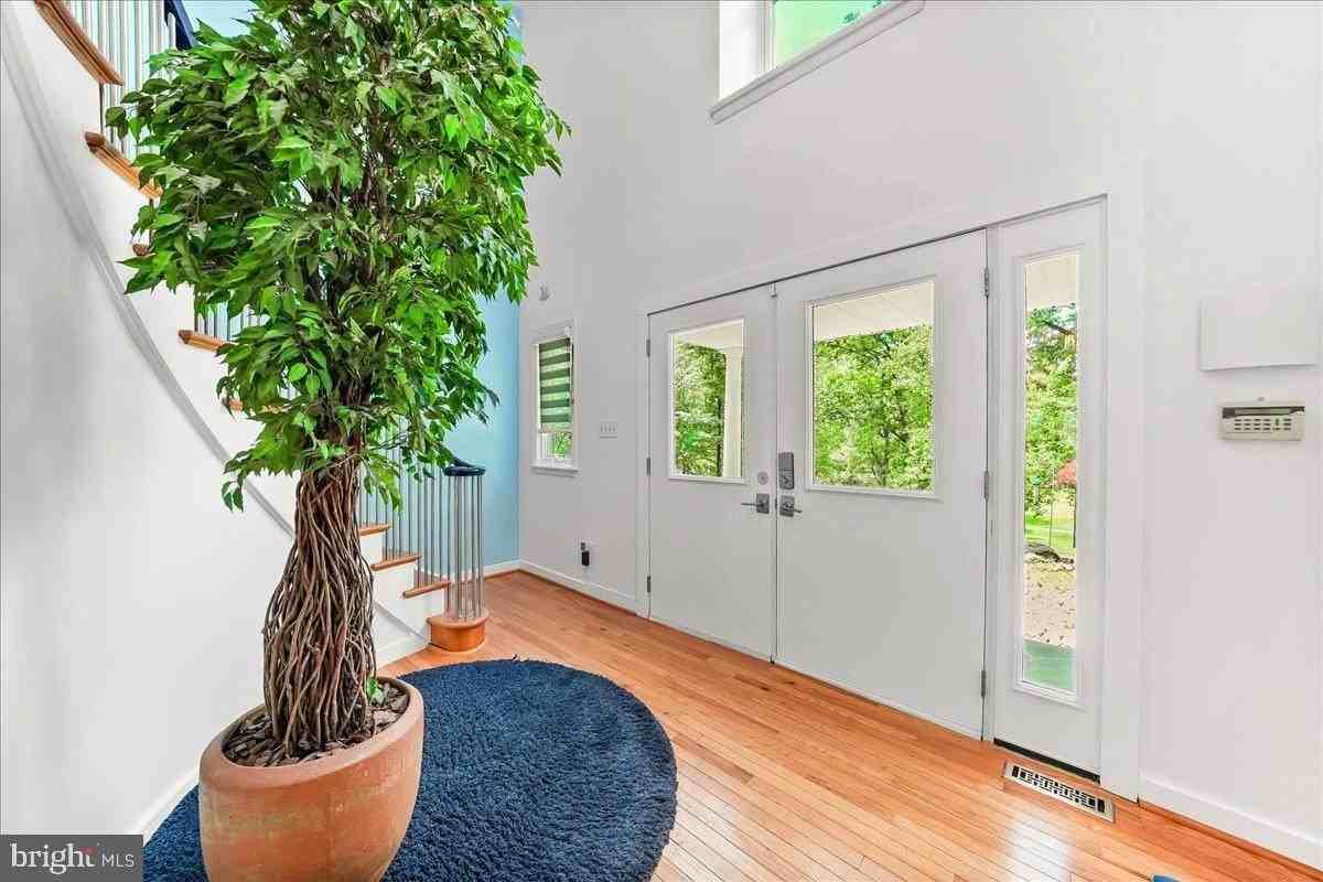 482 Gypsy Ln - Photo 4 of 50