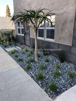 4154 N Business St #5 - Photo 1 of 1