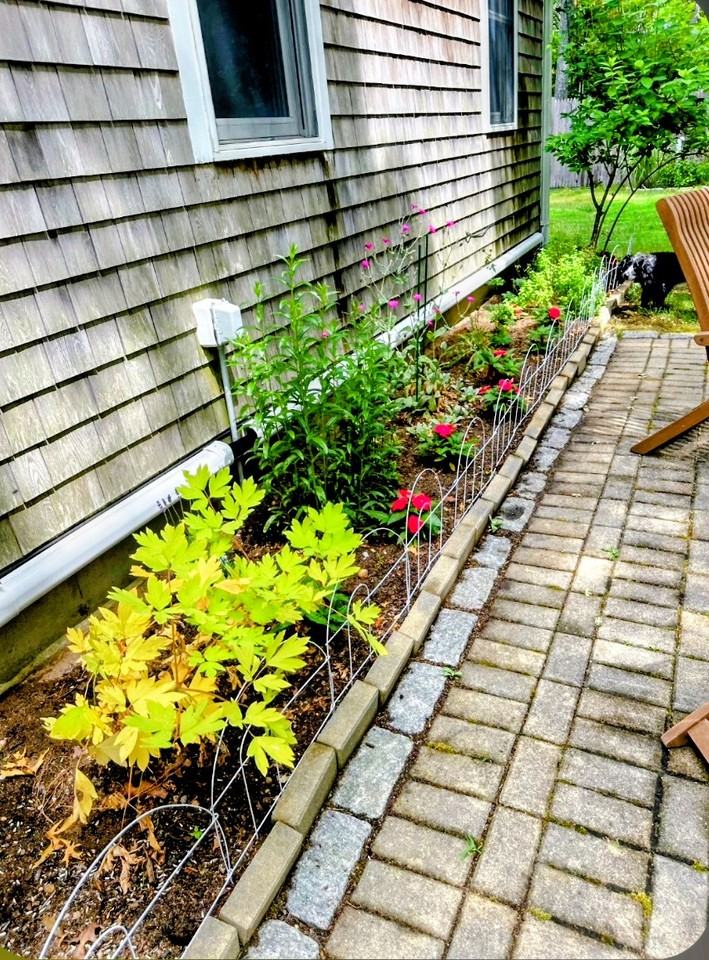 46 Edmar Rd #NA - Photo 2 of 19