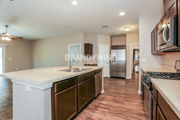 95141 Gladiolus Pl - Photo 7 of 19