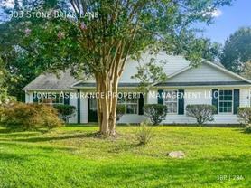 303 Stone Briar Ln - Photo 1 of 1
