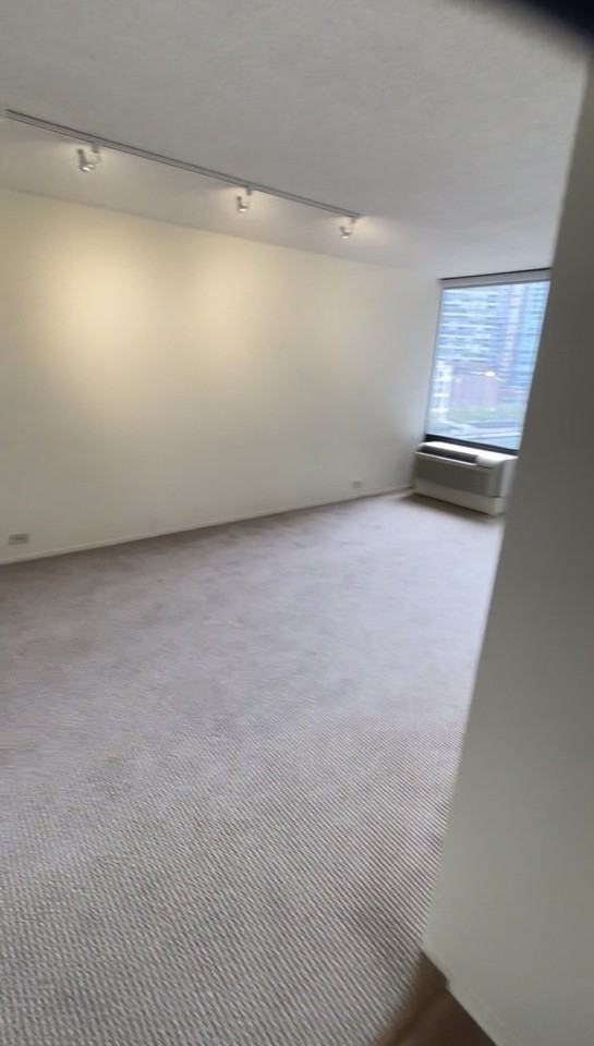 276 E Wacker Dr - Photo 2 of 16