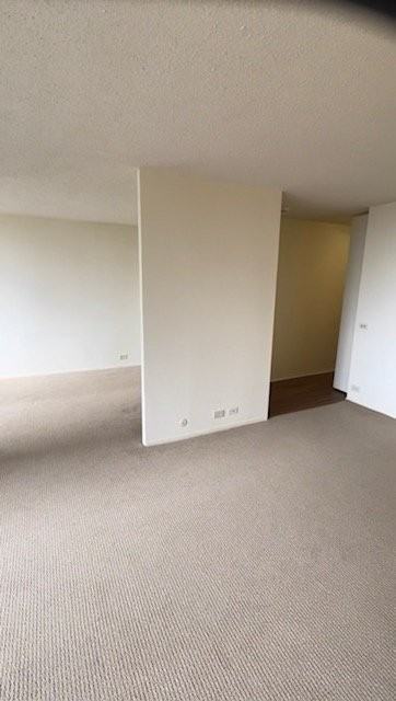 276 E Wacker Dr - Photo 3 of 16