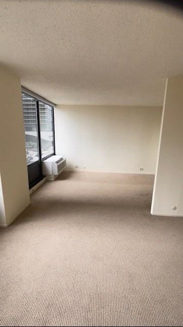 276 E Wacker Dr - Photo 4 of 16