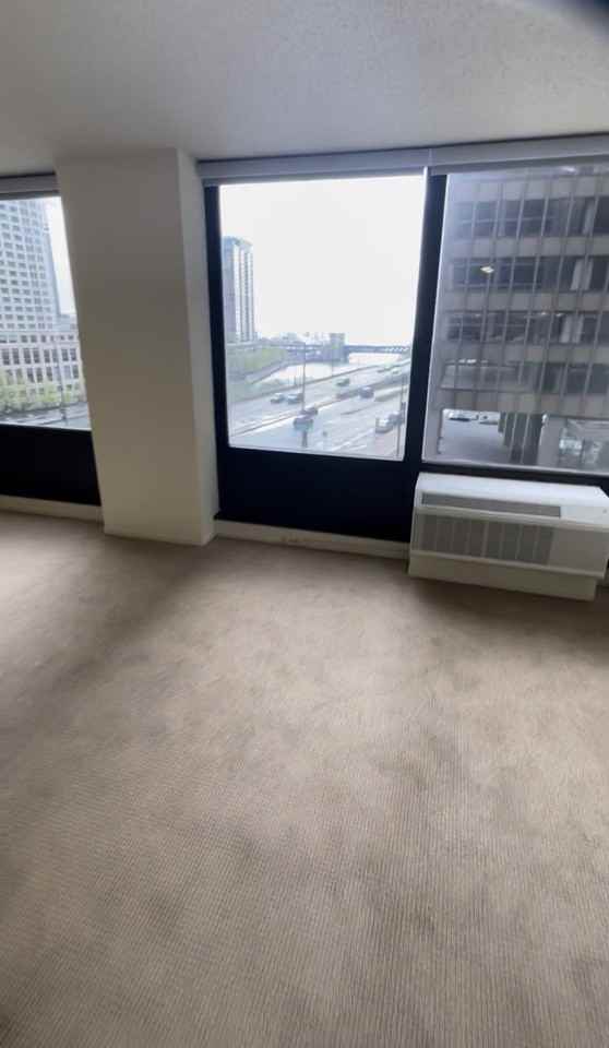276 E Wacker Dr - Photo 5 of 16