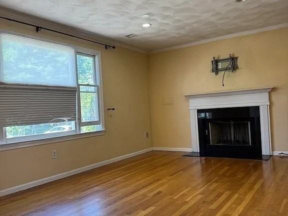 238A Albion St #A - Photo 6 of 12