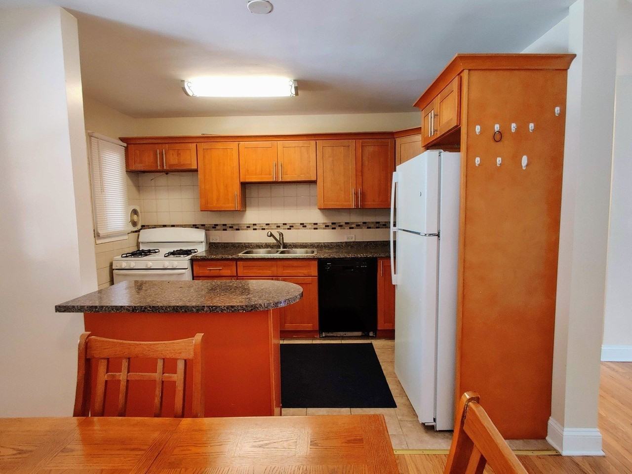 2435 W Balmoral Ave #1N - Photo 4 of 21