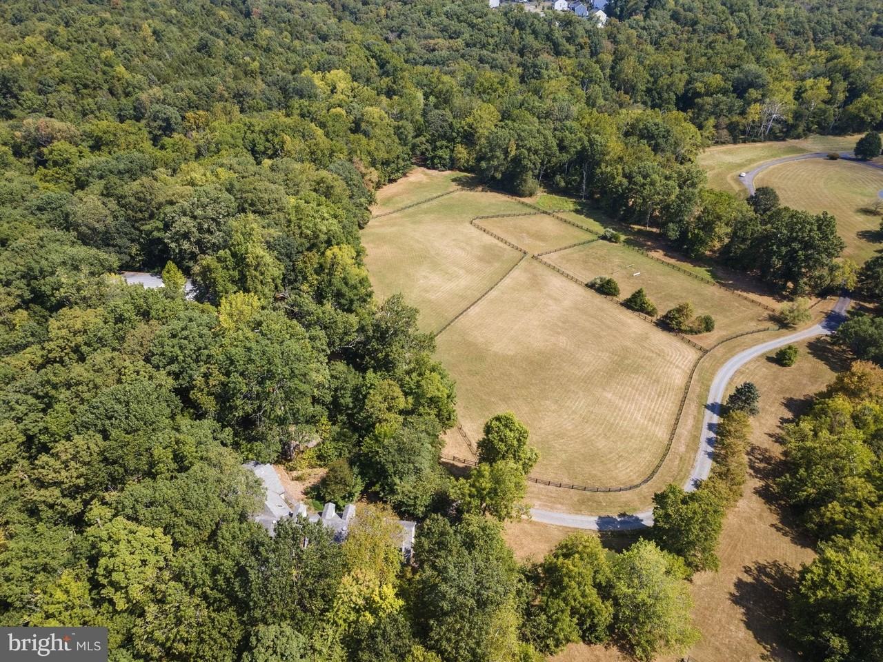 12780 Chatter Brook Dr - Photo 3 of 50