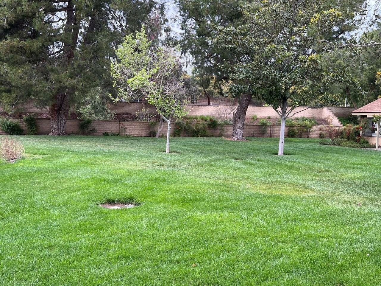35120 Village 35 - Photo 2 of 20