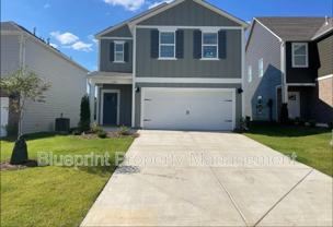 229 Chelsea Park Cir - Photo 1 of 1