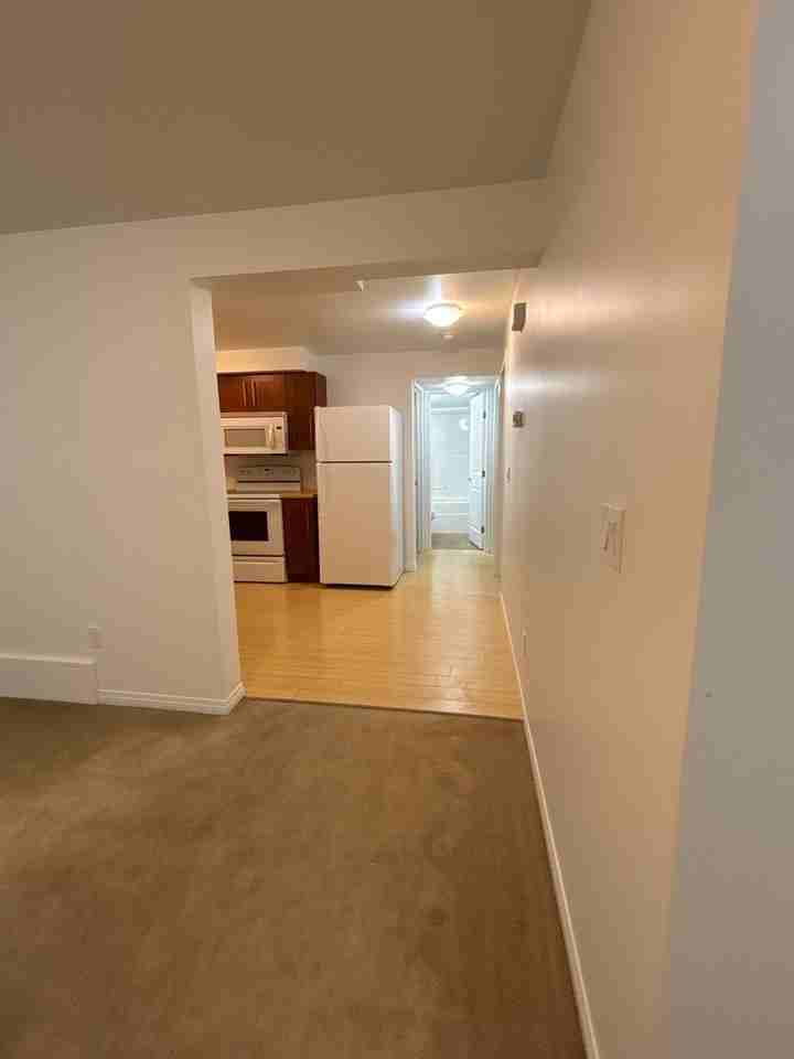 Modern 2 Bedroom, 1 Bathroom Basement Suite in NW Edmonton | SF209 - Photo 3 of 19