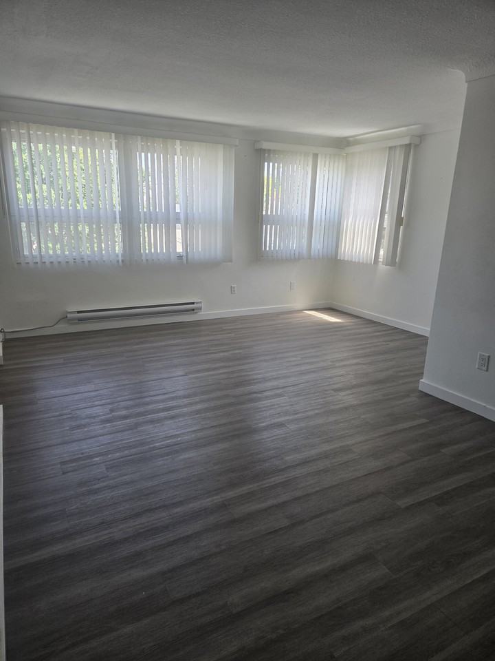 59 Empire Street - Photo 5 of 23