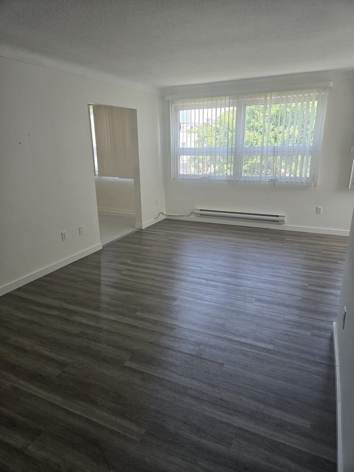 59 Empire Street - Photo 7 of 23