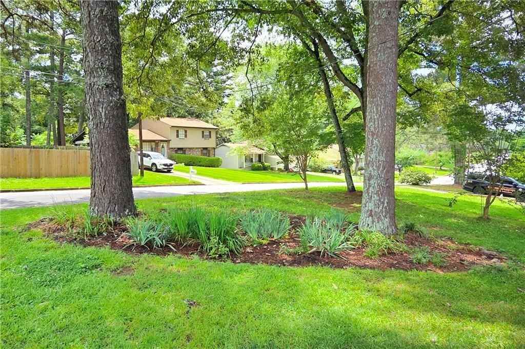3533 Charlotte Dr - Photo 5 of 42