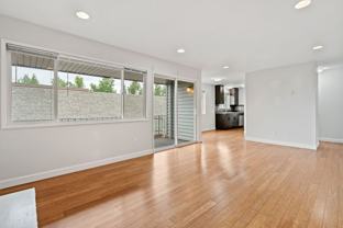 Belmont 49 - Photo 1 of 1