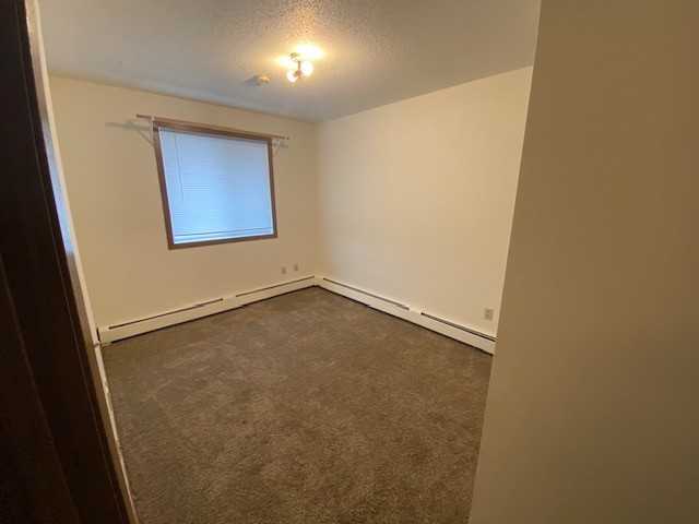1010 6th Ave S #301 - Photo 2 of 13
