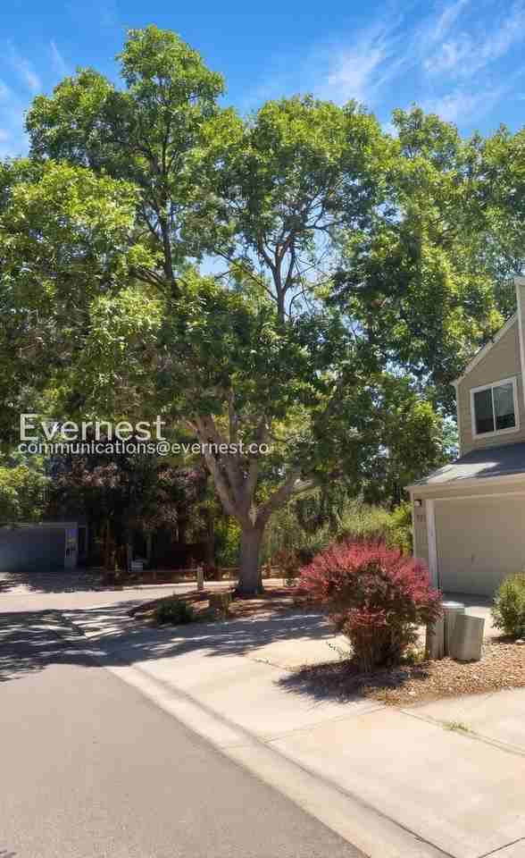 4121 Amber St - Photo 2 of 26