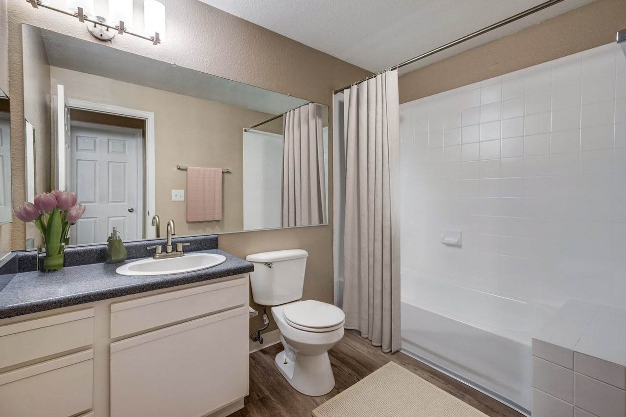 PeakView at T-Bone Ranch Apartments - Photo 4 of 48