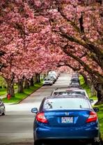 E Broadway & Rupert St - Photo 1 of 1