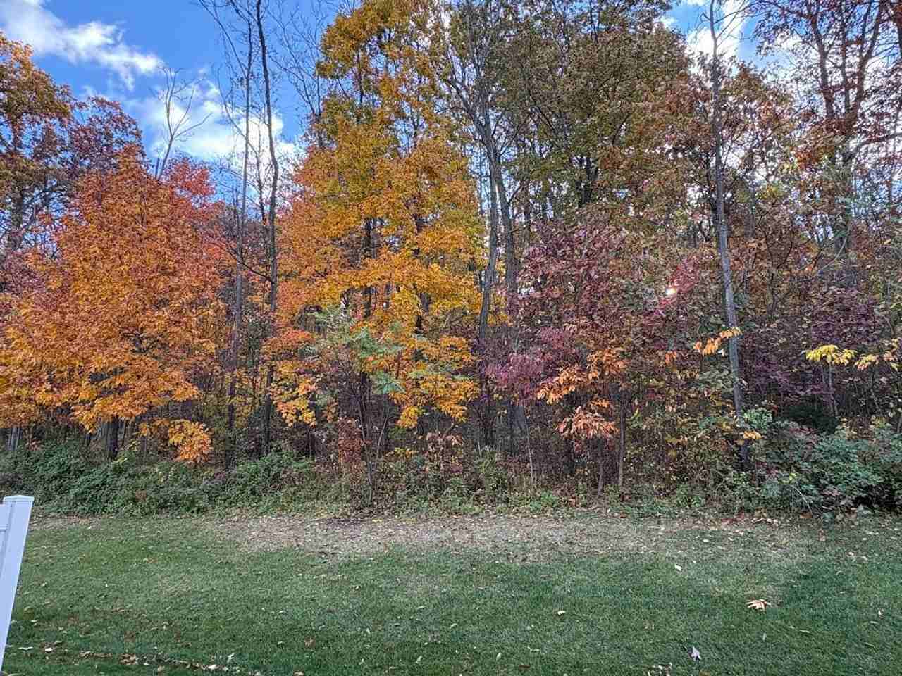 601 Spring Oaks Dr - Photo 5 of 28