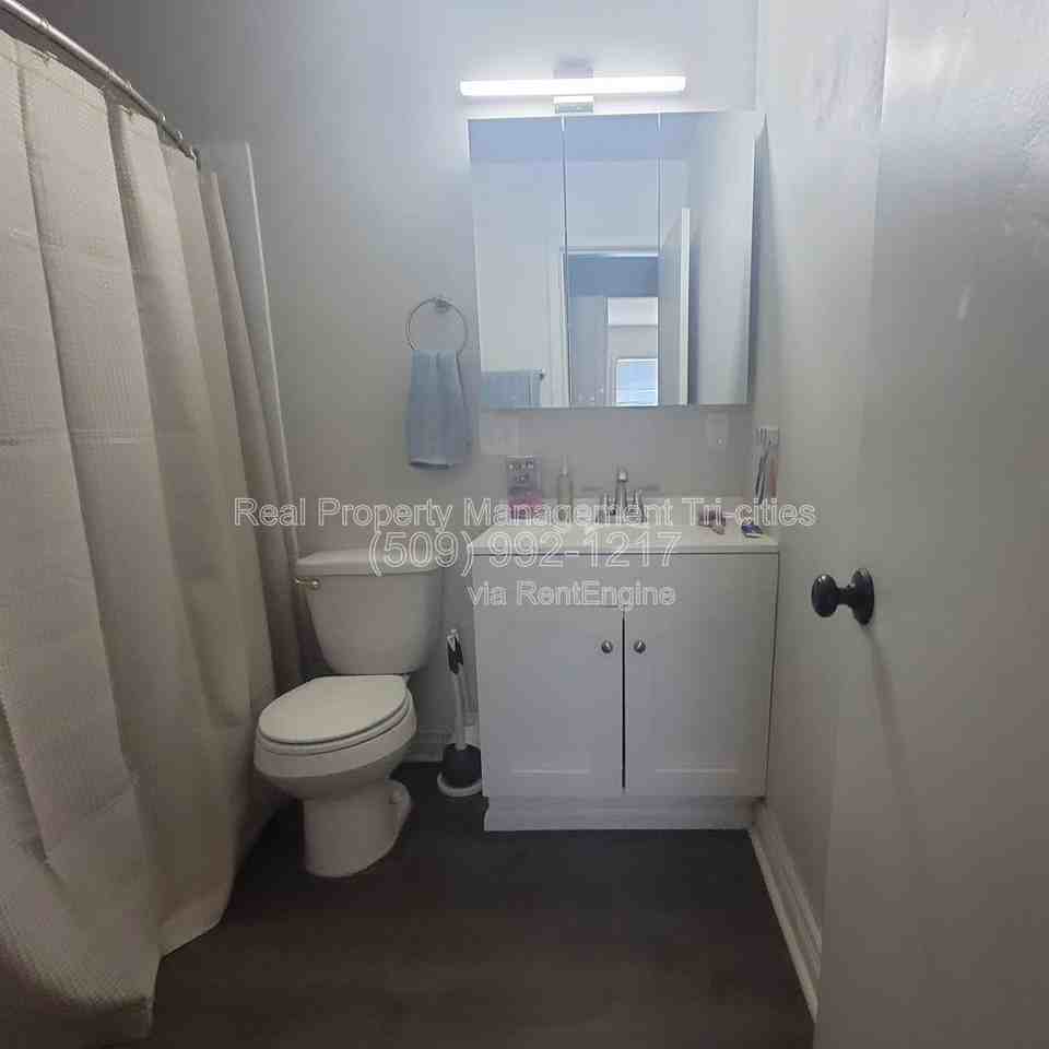 707 W Shoshone St - Photo 6 of 7