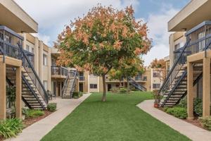 featured image of 700 700 Ballantyne St. & 707 Graves Ave.