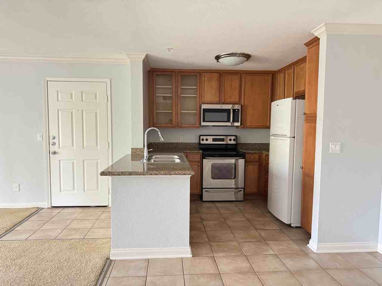 1023 Vista Del Cerro Dr #203 - Photo 2 of 10