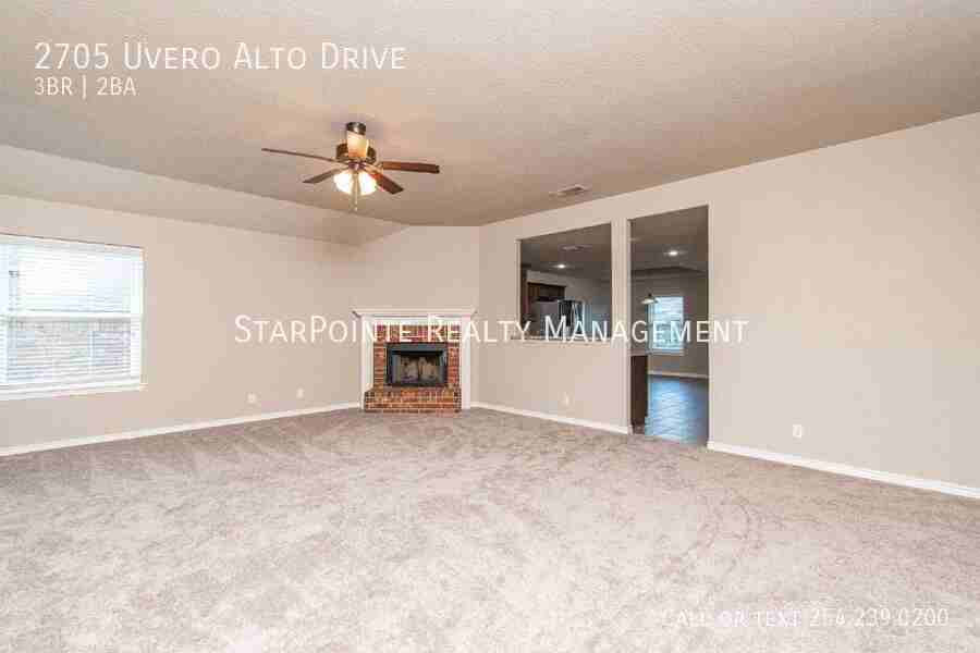 2705 Uvero Alto Dr - Photo 3 of 19