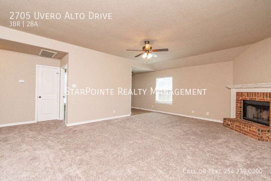 2705 Uvero Alto Dr - Photo 4 of 19