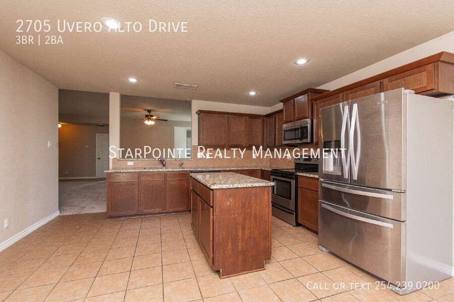 2705 Uvero Alto Dr - Photo 7 of 19