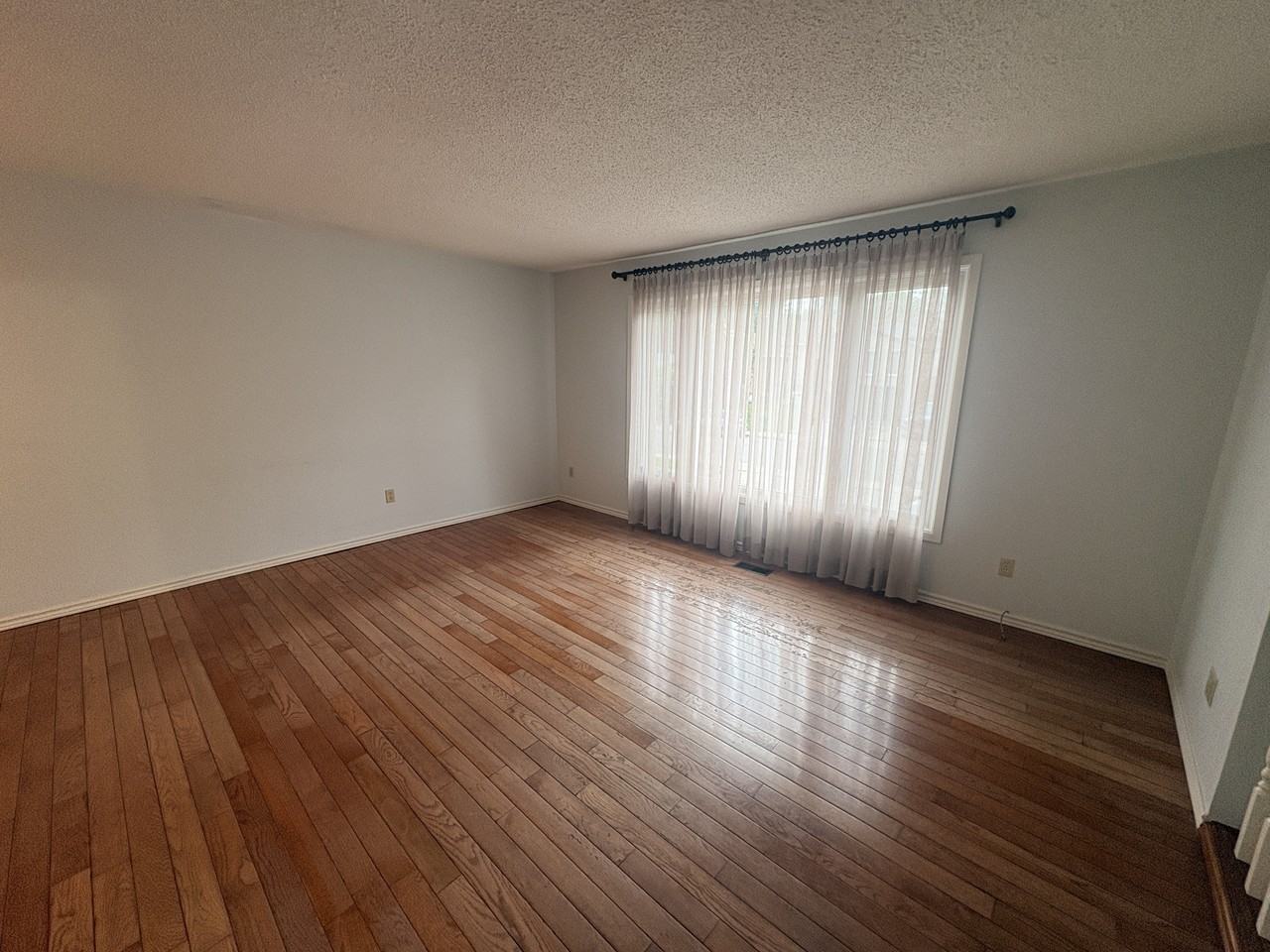 164 Gemini Dr - Photo 5 of 24