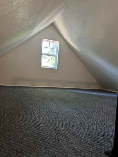 917 Crescent St #TINY - Photo 7 of 12
