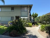 Algrove - Dephilips - Photo 1 of 1
