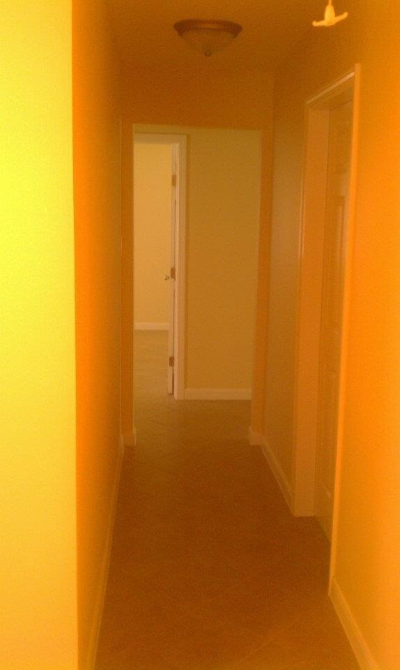 4109 Duval St #B - Photo 3 of 11