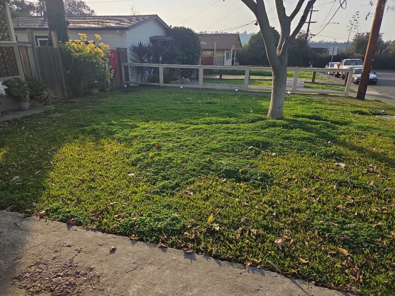 315 Nevada St #A - Photo 2 of 12