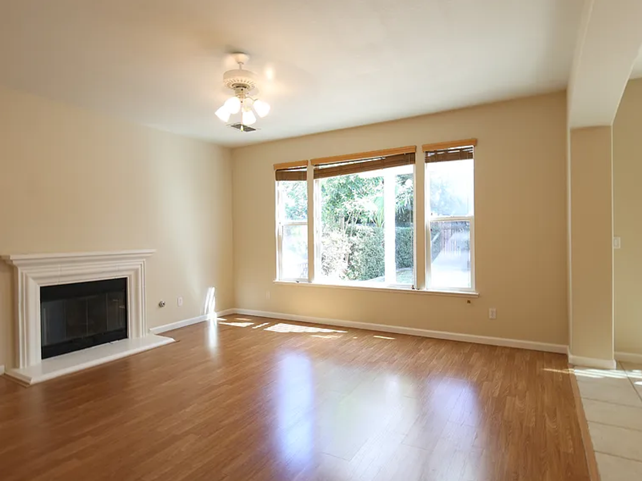 1908 Terracina Cir - Photo 7 of 25