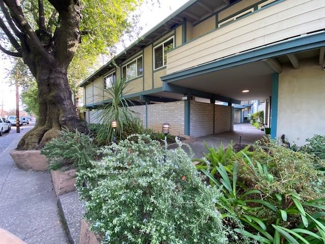 917 San Anselmo Ave #1